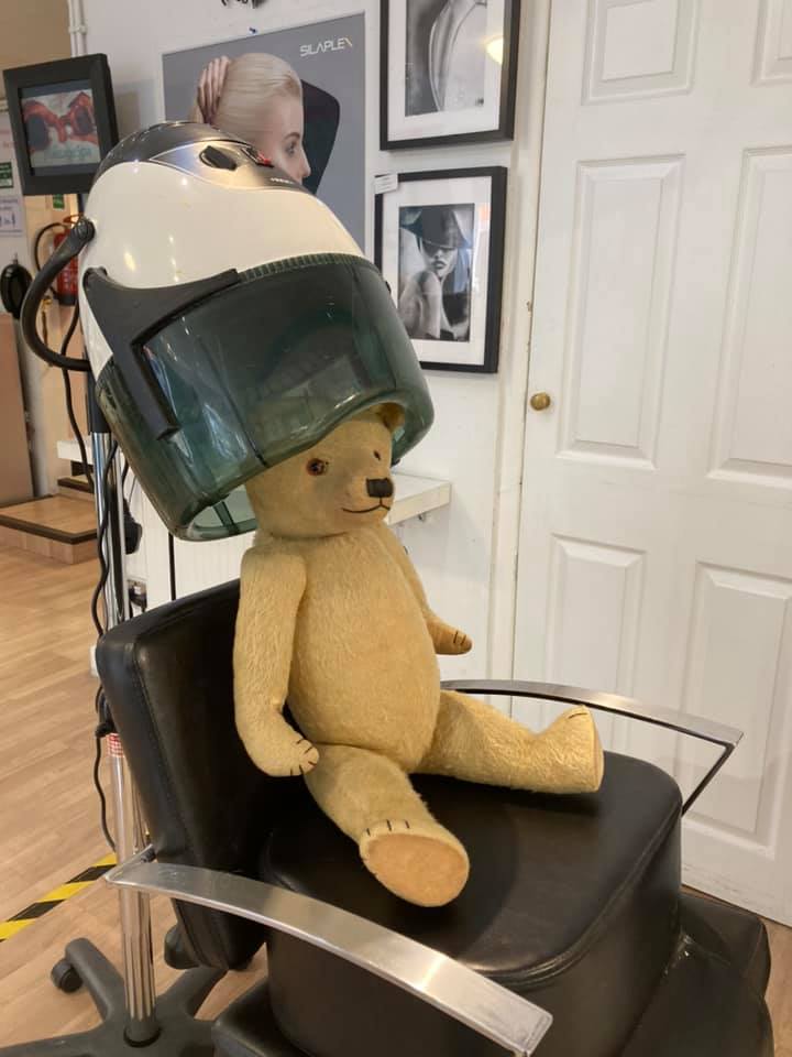 Teddy at Flix having his hair done