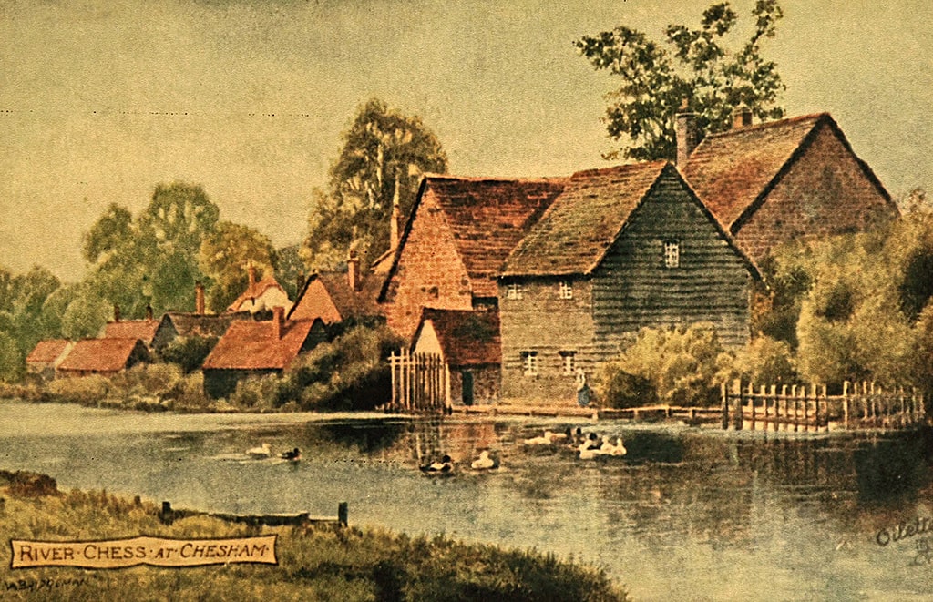 The River Chess with buildings on one side and ducks sitting on the river