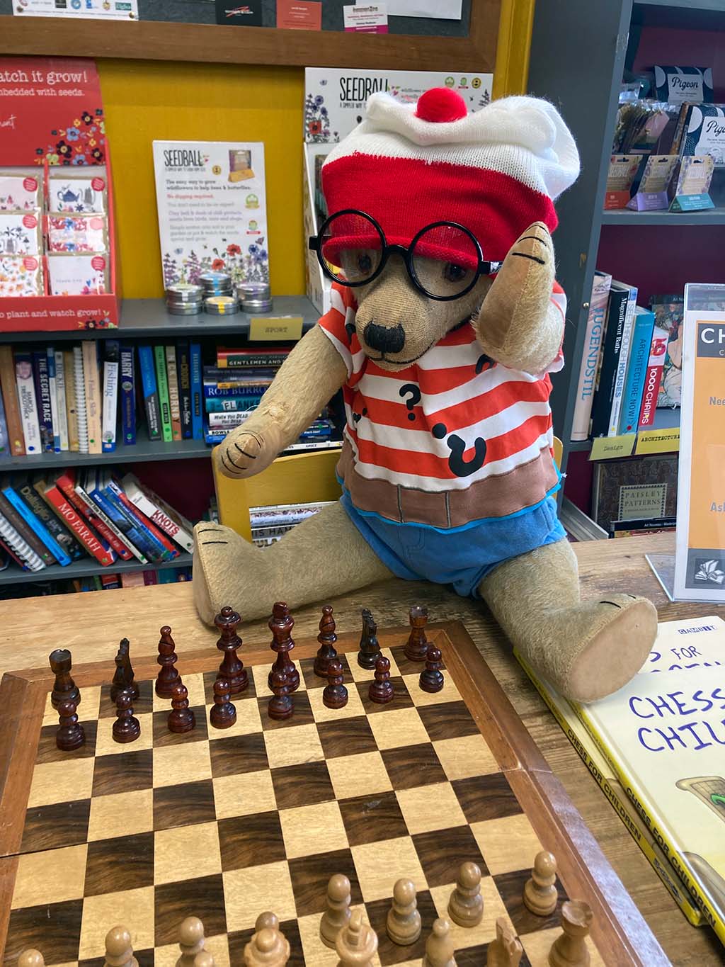 Winifred bear Chesham Museum mascot playing chess
