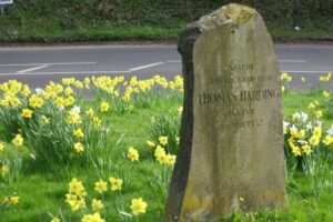 The gravestone of Thomas Harding, surrounded by daffodils