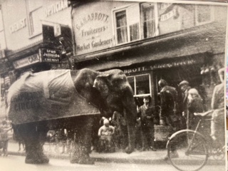 In this photo an elephant is stood outside the Stag with people looking on.